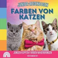 Junior-Regenbogen, Farben Von Katzen