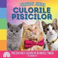 Curcubeu Junior, Culorile Pisicilor