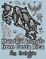 Mandala Animals from Costa Rica