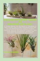 Exclusive Expert Guide for Growing Air Plant