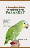 A Complete Guide to Keeping a Pet Parakeet