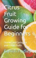 Citrus Fruit Growing Guide for Beginners