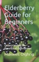 Elderberry Guide for Beginners