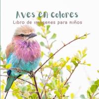 Aves En Colores