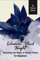 Echeveria 'Black Knight'