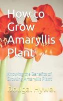 How to Grow Amaryllis Plant