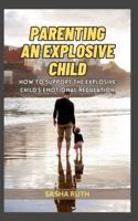 Parenting an Explosive Child