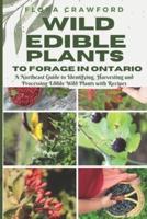 Wild Edible Plants to Forage in Ontario