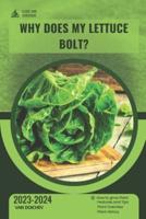 Why Does My Lettuce Bolt?