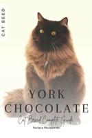 York Chocolate