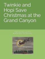 Twinkie and Hopi Save Christmas at the Grand Canyon
