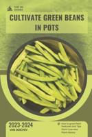 How to Cultivate Green Beans in Pots