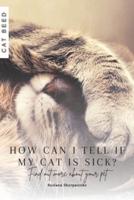 How Can I Tell If My Cat Is Sick?