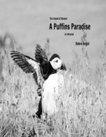 A Puffins Paradise