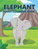 Elephant Adult Coloring Book