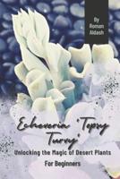 Echeveria 'Topsy Turvy'