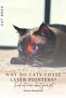 Why Do Cats Chase Laser Pointers?