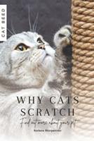 Why Cats Scratch