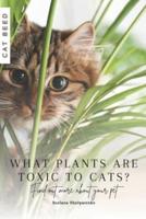 What Plants Are Toxic to Cats?