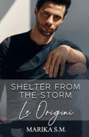 Shelter From The Storm - Le Origini