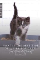 What Is the Best Type of Litter for Cats?