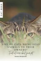Why Do Cats Bring Dead Animals to Their Owners?
