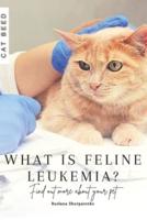 What Is Feline Leukemia?