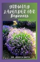 Growing Lavender for Beginners