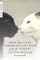 How Do Cats Communicate With Each Other?