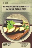 16 Tips For Growing Eggplant in Raised Garden Beds