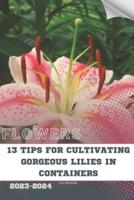 13 Tips For Cultivating Gorgeous Lilies in Containers