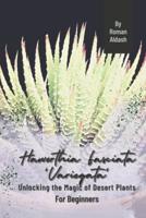 Haworthia Fasciata 'Variegata'