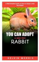 You Can Adopt a Mini Rex Rabbit