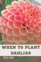 When To Plant Dahlias