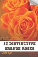 13 Distinctive Orange Roses