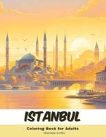 Istanbul Coloring Book for Adults
