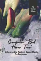 Crassula 'Red Horn Tree'