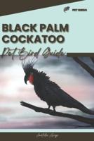 Black Palm Cockatoo