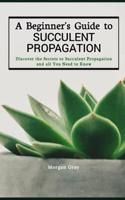 A Beginner's Guide to Succulent Propagation