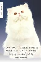 How Do I Care for a Persian Cat's Fur?
