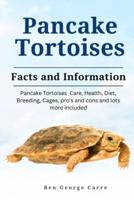 Pancake Tortoises