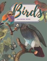 Coloring Book of Heaven Birds