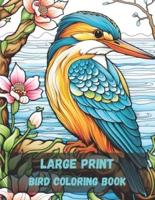 Large Print Bird Coloring Book, 20 Pages