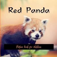 Red Panda