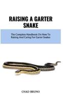 Raising a Garter Snake