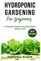 Hydroponic Gardening for Beginners With Pictures