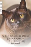 What Makes Burmese Cats Unique?
