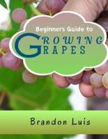 Beginners Guide to Growing Grapes