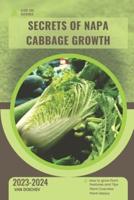 Secrets of Napa Cabbage Growth