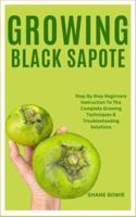 Growing Black Sapote